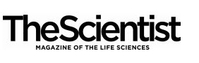 The Scientist