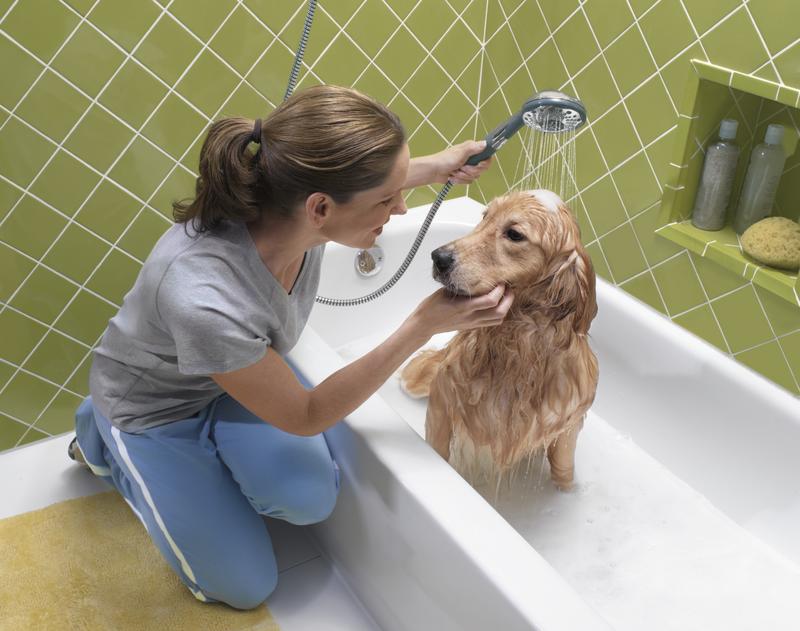 Dirty Dogs? Filthy Felines? Not So, According to New Moen