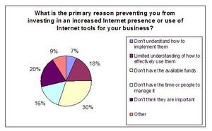 What is the primary reason preventing you from investing in an increased Internet presence or use of Internet tools for your business?