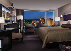 The contemporary architecture of the ARIA tower will be complemented by the resort's lavish accommodations. ARIA's 4,000 guest rooms and suites will incorporate integrated technologies never before used in the hospitality industry. Guests will enjoy spectacular city or mountain views through the expansive floor-to-ceiling windows in every room. 
