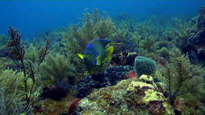One frame of high definition, 3MB image file.