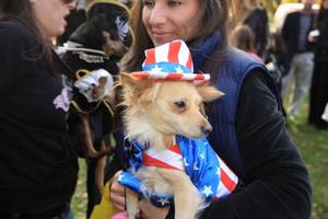 Canines made sure that barks were heard as they entered a voting booth to cast ballots in hopes of swaying public opinion during Corky's 'Bark the Vote' election.

