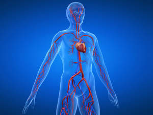 Stent Graft Repair of Thoracoabdominal Aneurysmal Disease Significantly Reduces Procedural Risk and Recovery