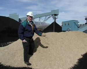 Colorado Springs Utilities biomass project manager Terry Meikle is surrounded by sawdust and coal at the Martin Drake Power Plant in Colorado Springs.