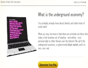 Norton Online Risk Calculator