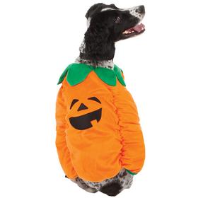 Pumpkin Dog Costume