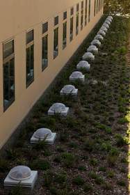 The living roof and the 'solatubes' filter natural light into the building on the newly completed Michael J. Homer Science and Student Life Center at Sacred Heart Schools in Atherton, California.
