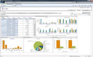 PivotLink Workforce Analysis and Reporting Solution
