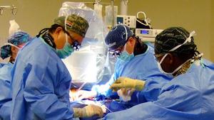 This week ORLive features a live hip replacement surgery featuring the Zimmer bone-preserving Fitmore(R) Hip Stem.  The week also includes two live presentations focused on a multi-disciplinary approach to liver transplantation and the latest techniques and technology for Video Assisted Thoracic Surgery (VATS).   All of these videos can be found at ORLive.com