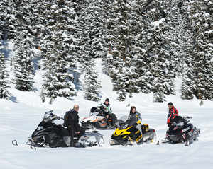Surveys show that over 94.5% of snowmobilers consider it a family activity. The majority of snowmobile owners are married and have children.