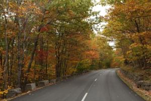 Photographer uses MotionX-GPS for the iPhone as co-pilot during fall photo tour through Maine's Acadia National Park.