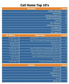 InDorse Call-Home, Top 10 Files Open Report