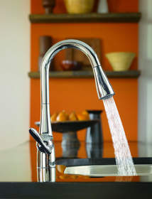 NEW ARBOR(TM) PULLDOWN KITCHEN FAUCET FROM MOEN 
BRINGS SIMPLE SOPHISTICATION TO THE SINK
