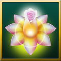 Shankara Skincare