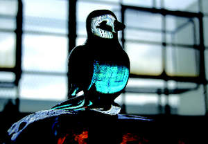 Glass bird sculpture at the Glass Academy's "The Art of Spring" Hand Sculpted Glass Show & Sale