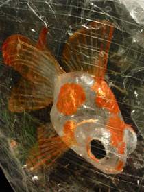 Elizabeth K. Lee took her creativity off the roll in the Scotch Off The Roll tape Sculpture Contest by designing and constructing 'Can I Keep Him,' a tape sculpture depicting a larger than life pet goldfish 