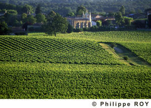 Bordeaux Superieur AOC vinyard, chrurch, and town
