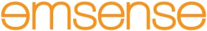 EmSense Corporation