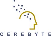 Cerebyte Inc.