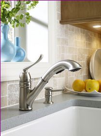 The perfect remodeling project is one that includes items that you see and touch multiple times every day, such as a kitchen faucet. Models, such as the Moen Canada Dorsey Eco-Performance faucet feature a single-handle pullout design with the added benefit of up to 32 percent water savings.