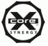 Core Synergy Wristband