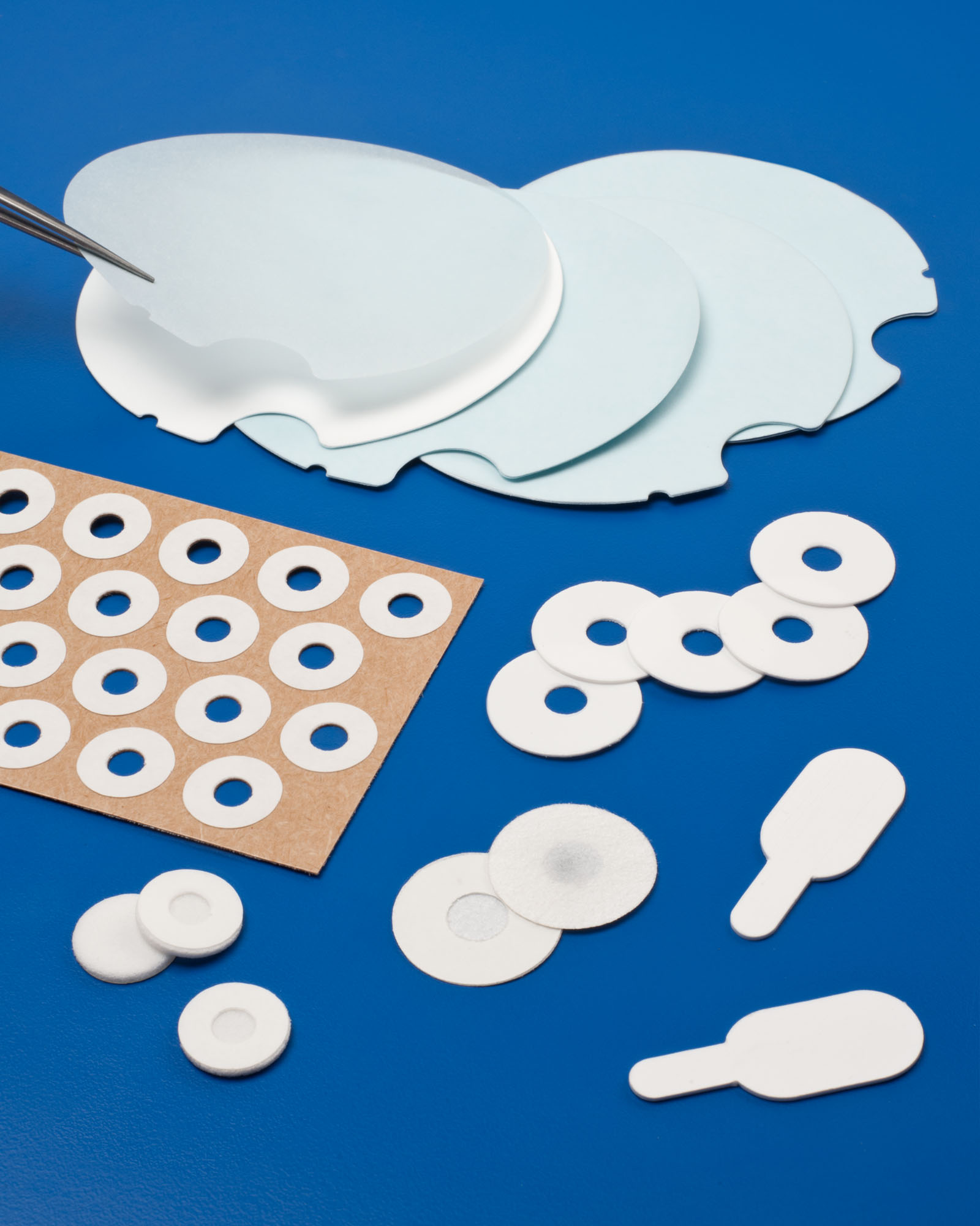 Microporous PTFE Membranes From Interstate Specialty Products Resist