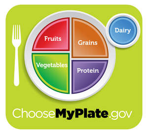 USDA's new MyPlate symbol illustrates a healthy diet.