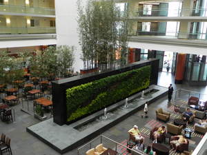 Living wall at Embassy Suites Chicago Downtown Lakefront