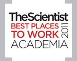 The Scientist