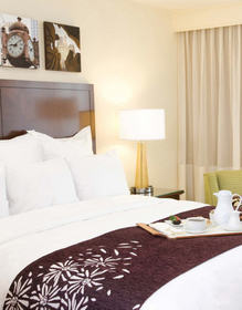 Tampa hotel packages
