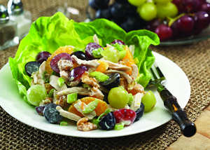 Fresh Blueberry Chicken Salad with Almonds