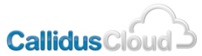 Callidus Software Inc.