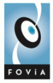 Fovia, Inc.