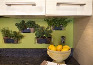 Hanging Kitchen Herb Garden