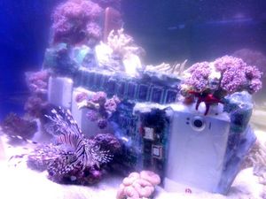 Vincent Huang uses coral growth from submerged 3C products, such as smart phones and tablets, to create a modern iTitanic.