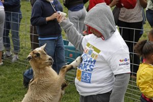chicago walk, autism speaks, walk now