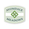 The Meadows Community Foundation 