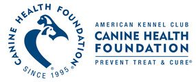 AKC Canine Health Foundation