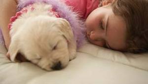 Six Sleeping Tips for Kids