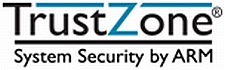 Wave Systems Corp.