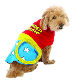Dog in costume, courtesy of PetSmart