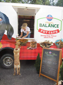 pet cafe, food truck, pets, nutrition, The Big E, tour, hill's, science diet, ideal balance, event