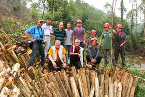 TigerPLY(TM) Management team inspecting Eucalyptus harvest. These Chinese Eucalyptus plantations produce 11'' pealing longs in six years, yielding 75% #1 grade veneers for use in Hardwood Plywood. (c) Lou Jones 2012.