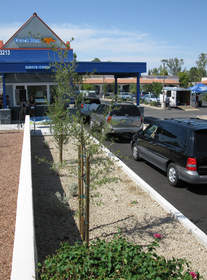 Dutch Bros. Coffee