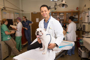 CHF establishes Clinician-Scientists Fellowship Program