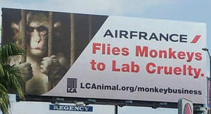 LCA's Air France Billboard near LAX.
