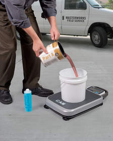 Alliance Scale portable bench scale