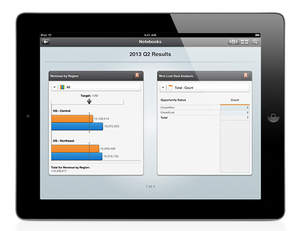 Notebooks on iPad(R) enable executives to drill down into individual profiles and reports or view all items at once in a dynamic dashboard.