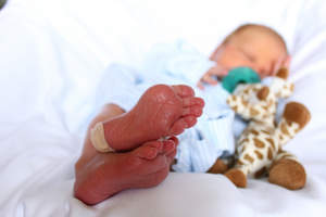 Newborn foot with bandage following newborn screening