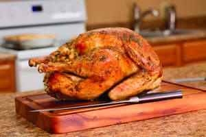 Simple Roasted Turkey